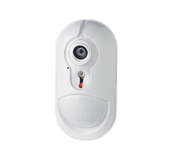 Pet immune wireless motion detector with integrated camera